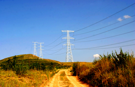 1465358573327008415.jpg 2.jpg