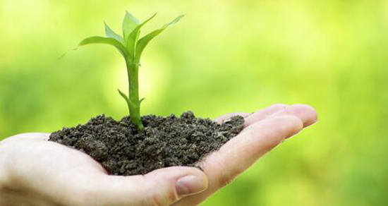 1481158823952078030.jpg 1-2.jpg