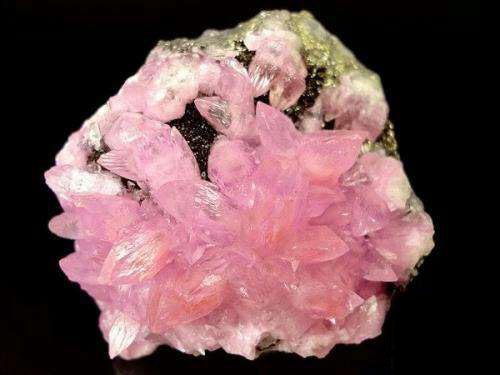 1506053022486019645.jpg timg.jpg