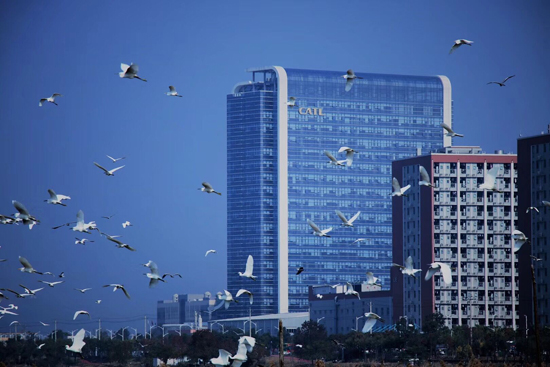 獨角獸寧德時代正式登陸創(chuàng)業(yè)板 引領動力電池行業(yè)時代變革 獨角獸寧德時代正式登陸創(chuàng)業(yè)板 引領動力電池行業(yè)時代變革