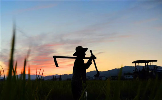 握手CBIS2019的大咖丨秦興才:鋰電池國家隊的“拓荒者” 握手CBIS2019的大咖丨秦興才:鋰電池國家隊的“拓荒者”