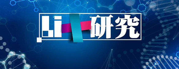 Li+研究│第6批目錄乘用車分析:近9成車型搭載三元電池 Li+研究│第6批目錄乘用車分析:近9成車型搭載三元電池