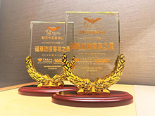 創(chuàng)造文化傳承與創(chuàng)新的無限可能 銀隆臉譜公路車表率