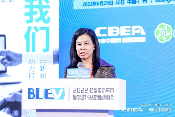 BLEV2022：促中外產(chǎn)業(yè)合作，共建產(chǎn)業(yè)生態(tài)鏈