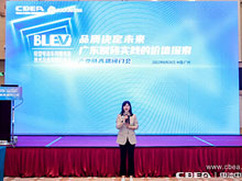 輕型電動(dòng)車及車用鋰電池產(chǎn)業(yè)鏈高端閉門會(huì)在廣州召開