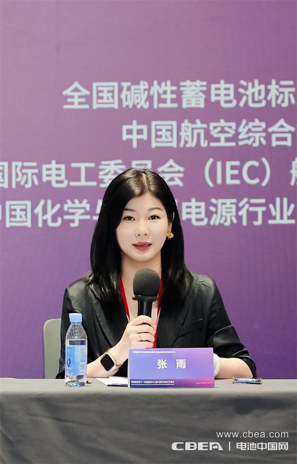 IEC飛行器電池國內技術對口工作組第一次全體大會在深圳召開